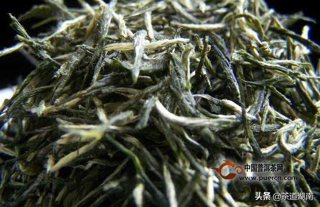 宝庆寻茶记系列之三：白马仙山产名茶