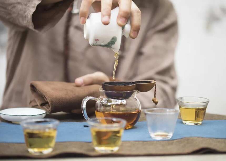 同属黑茶，藏茶和普洱有何不同？