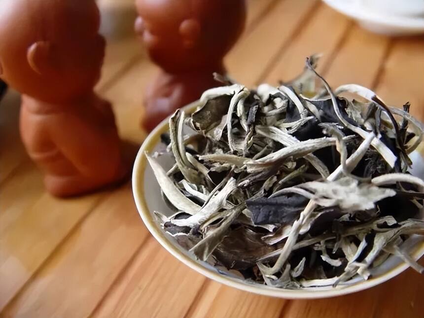同为白茶，福建白茶和云南白茶有什么差异？