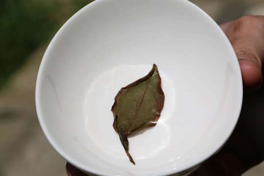 乌龙茶里的唯一的紧压茶，你喝过吗？