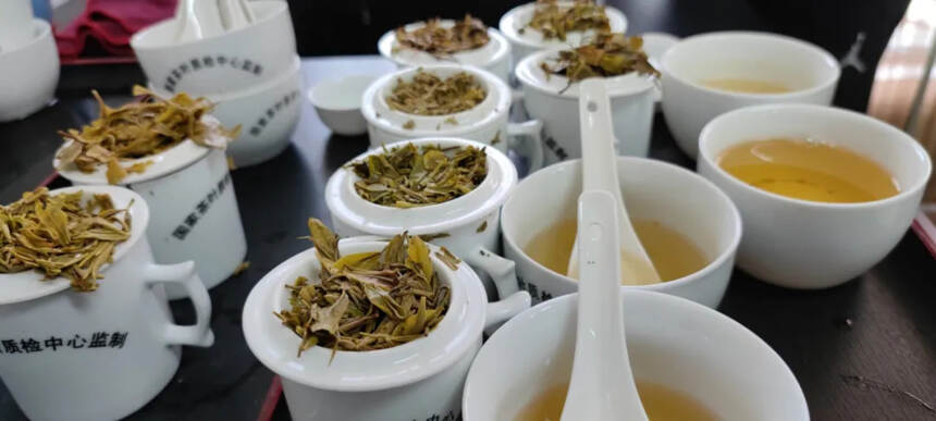 “蒙顶山杯”第六届中国黄茶斗茶大赛圆满结束，4月29日揭晓