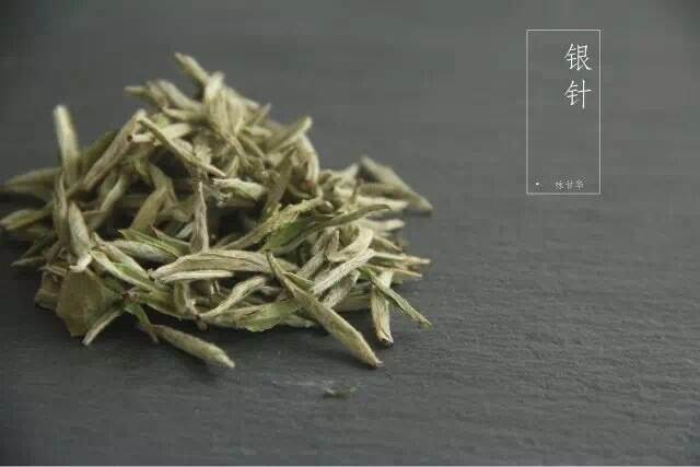 白茶喝这么久，你知道如何分辨工艺白茶和品种白茶吗