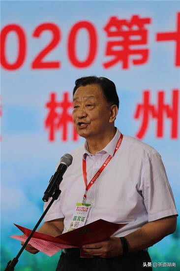 2020第十二届湖南茶业博览会开幕式暨郴州福茶推介会在长举行