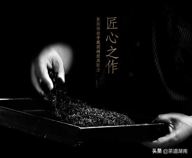 舌尖上的中国茶叶：湖南黑茶的制作工艺