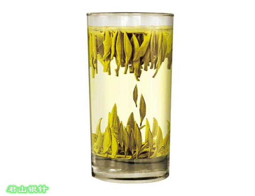 黄茶中的茶黄素，被称为“软黄金”，近些年越来越受到青睐