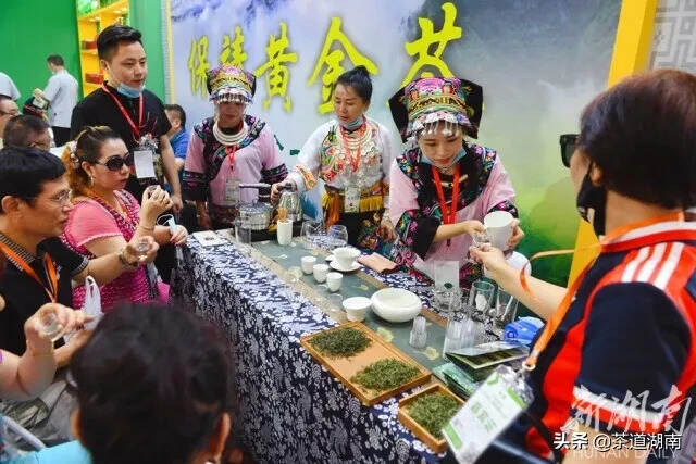 2020湖南茶文化节在长沙开幕