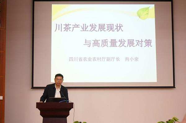 2020年四川省茶产业系统培训会圆满结束