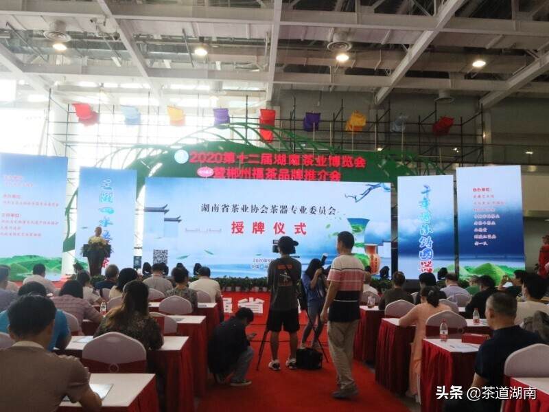 湖南省茶业协会茶器专业委员会成立
