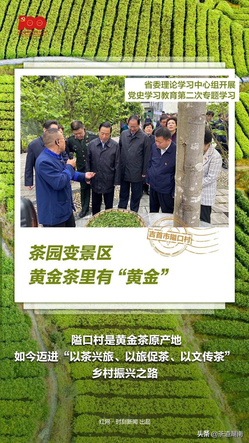 微海报丨第一站：湖南省委理论学习中心组抵达隘口黄金茶园