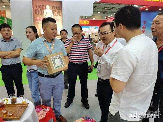 新宁青钱柳红茶省博览会上好评如潮