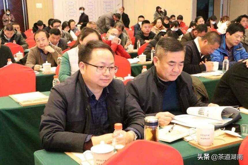湖南茶业科技创新论坛召开，萧力争当选省茶叶学会新一届理事长
