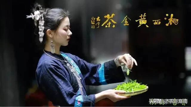 “黄金”飘万里，湘西黄金茶 ，4月20日 品茗思祖，以茶兴业