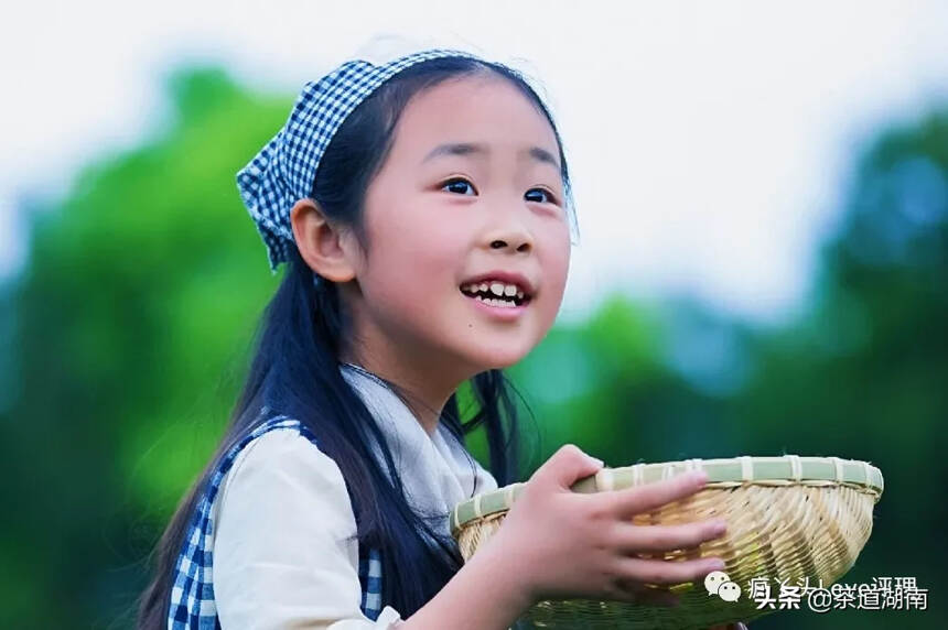 湖南湘乡一女子为自己孩子拍出精美的采茶图