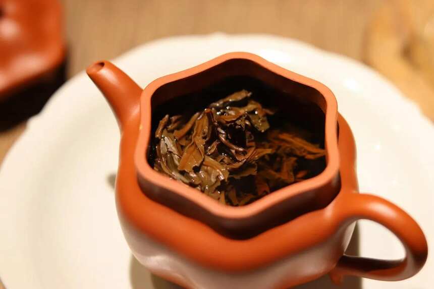普洱丨再喝中茶第一沱：曾经表现平平的茶，可能忽然大放异彩