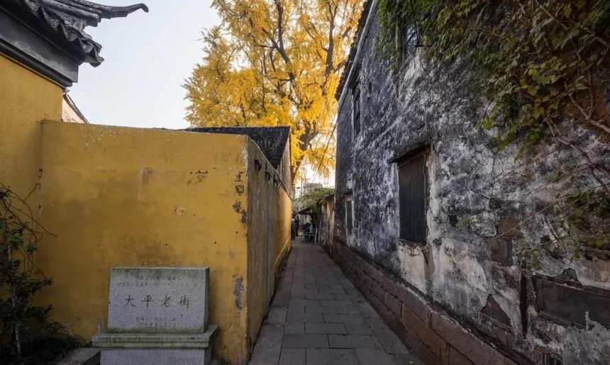 这6条鲜为人知的老街，沉淀着苏州古城旧时光的味道