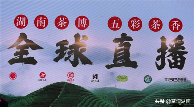 图片新闻：百名流量网红主播倾情助力湖南茶博会