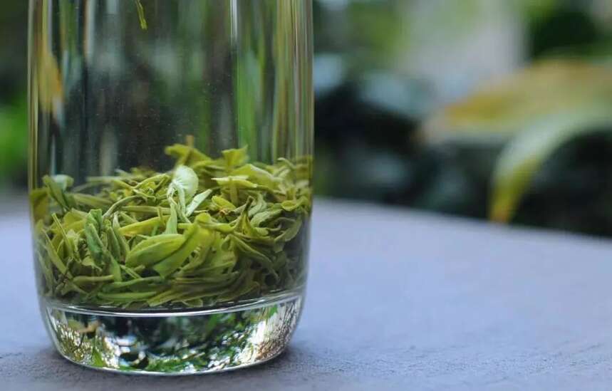 它是目前国内蒸青绿茶唯一“活化石”，十大名茶中的一朵“奇葩”
