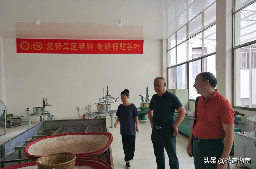 华中农业大学倪德江教授调研邵阳茶产业