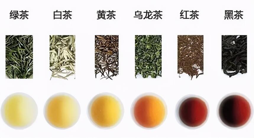 不管你喝不喝茶，都建议了解一下的中国茶知识