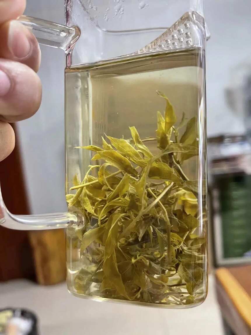 长寿藤茶，为什么越喝越渴
