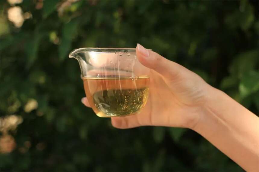 中国人的口味底色是绿色，茶想好卖都得“绿”一点