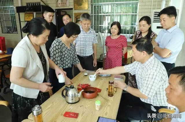 湖南省茶业协会会长周重旺一行赴株洲调研茶产业发展情况