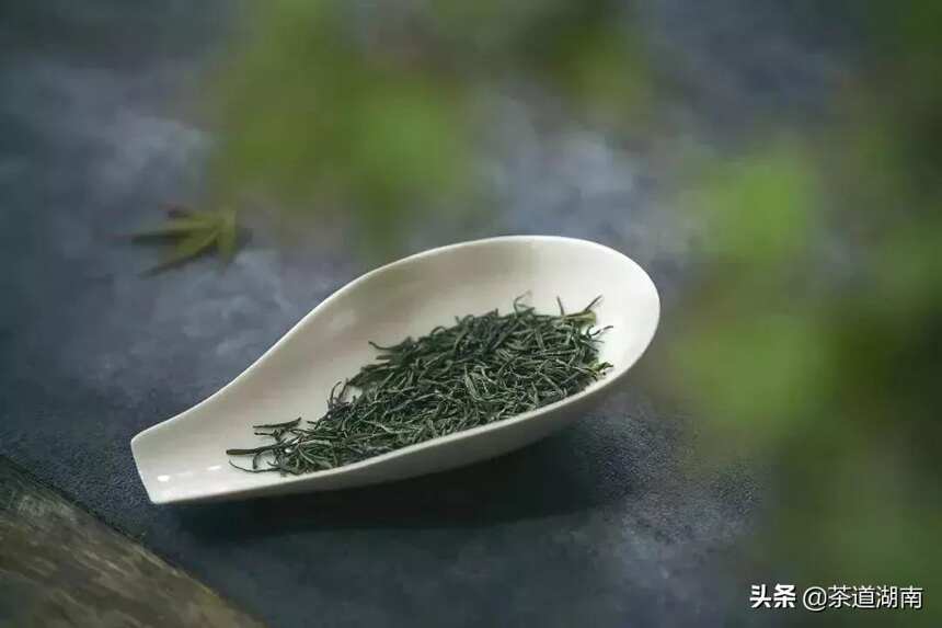 百茶百味 | 这款唯一幸存的蒸青绿茶，有浓浓的唐风宋味