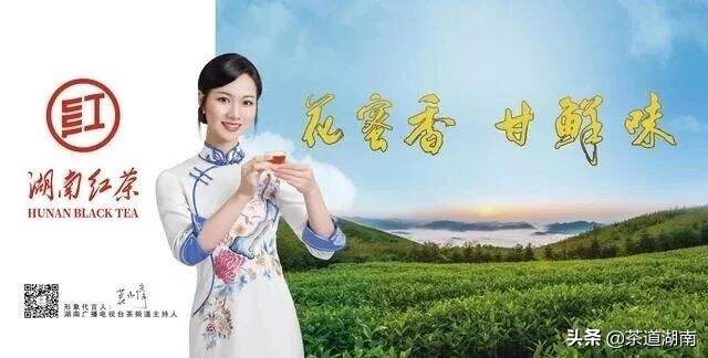 院士站台推介湖南红茶 在京产销对接签约金额达4.8亿元