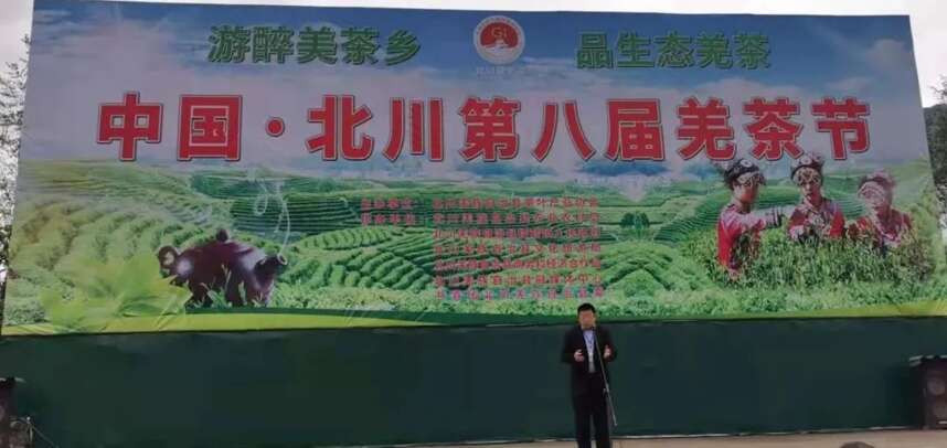 赏大禹门前树，品北川苔子茶，话茶产业发展 共谋乡村振兴