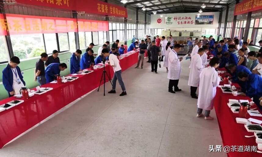 新宁县首届手工制茶技能大赛将于5月底举行
