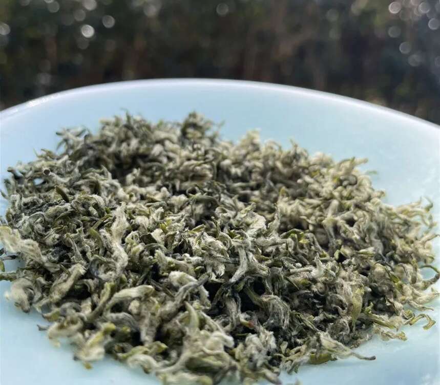 苏州茶叶市场最新春茶行情：外地碧螺春少量上市，价格小幅攀升
