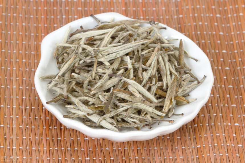 白茶中的一股清流“九龙大白茶”，来自福建松溪的白马王子