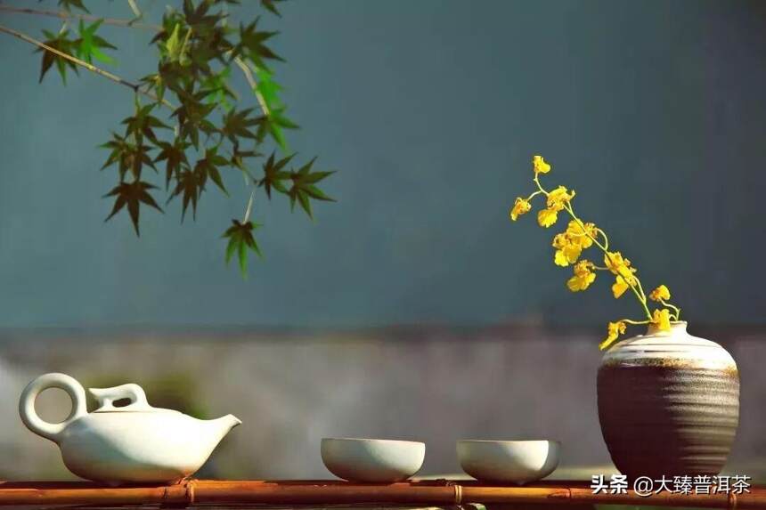 茶，如一味菩提｜茶文化