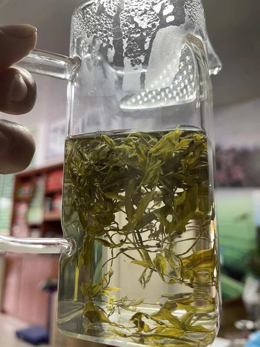 刚从森山生长的藤！野生藤茶是怎么做的？