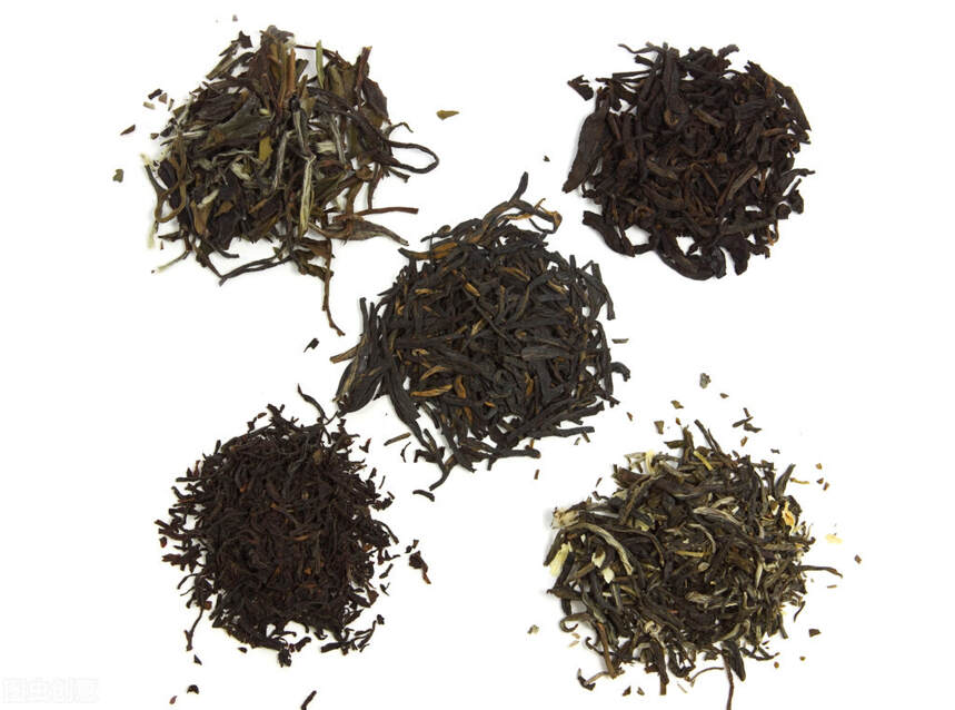 白茶为什么被称为“茶中瑰宝”？哪种白茶更适合放成老白茶？