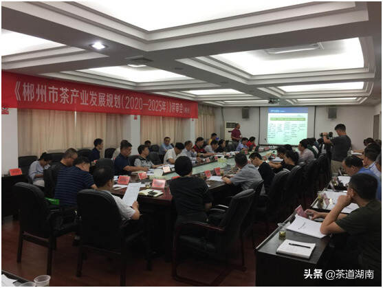 郴州市茶产业发展规划评审会举行