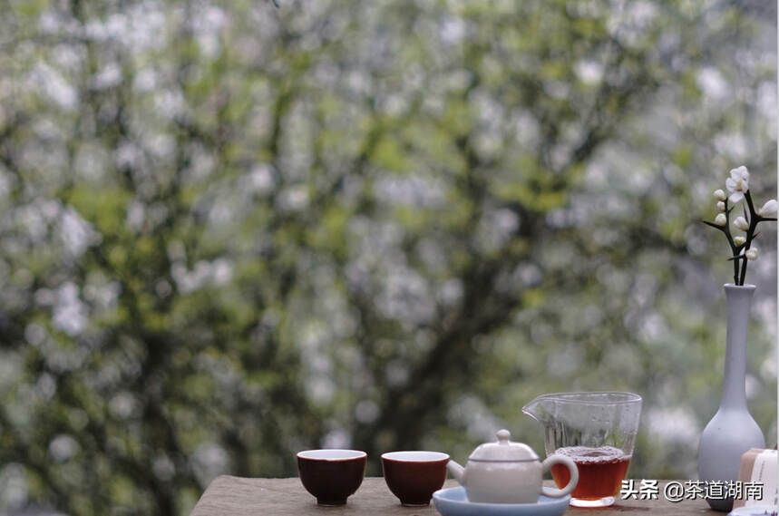 春风十里，不如杯中有你！古诗里的春茶竟然这么美！