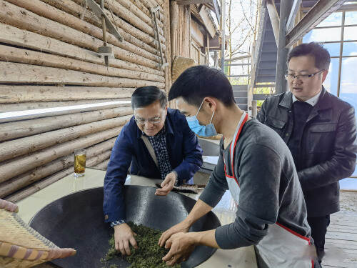 雅安市农业农村局党组书记倪林赴茶叶生产基地调研