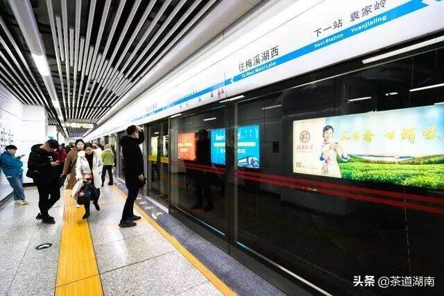 “湖南红茶”地铁、高铁、机场、央视全方位立体广告正式启航