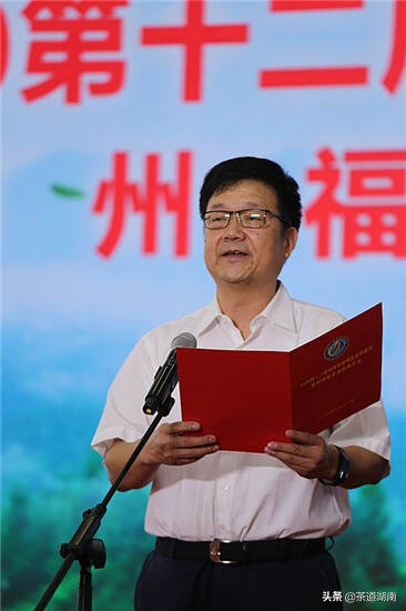 2020第十二届湖南茶业博览会开幕式暨郴州福茶推介会在长举行