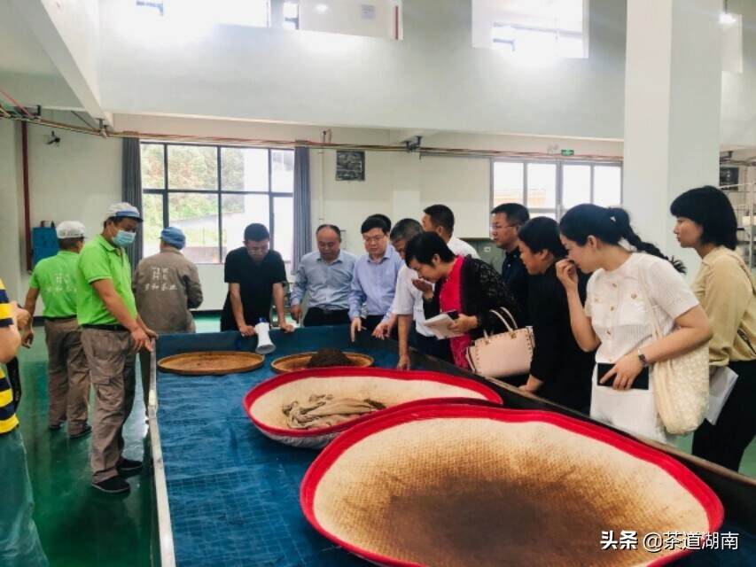 湖南红茶”首个扶贫示范村授牌仪式举行