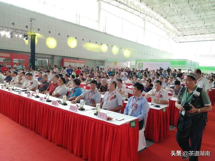 新化县21家茶企组团参展第十一届湖南国际茶业博览会