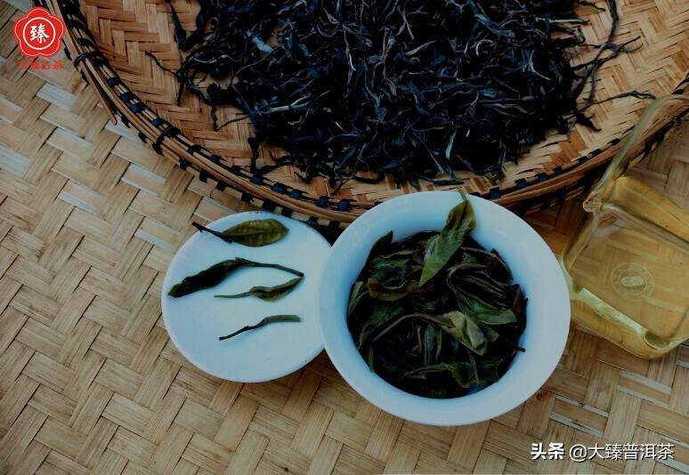 性价突出.特点分明的几个茶｜大臻春茶纪.进击2021