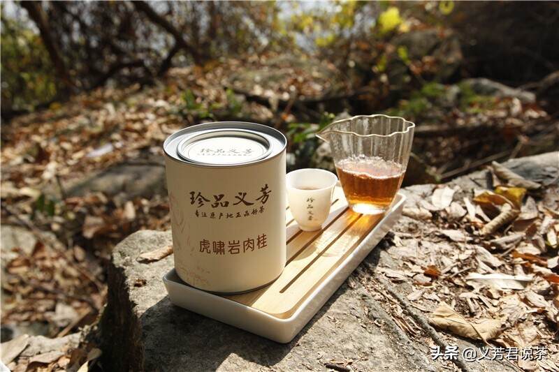 它是被误解最深的茶，江湖地位不比武夷岩茶差，市场流言却不少