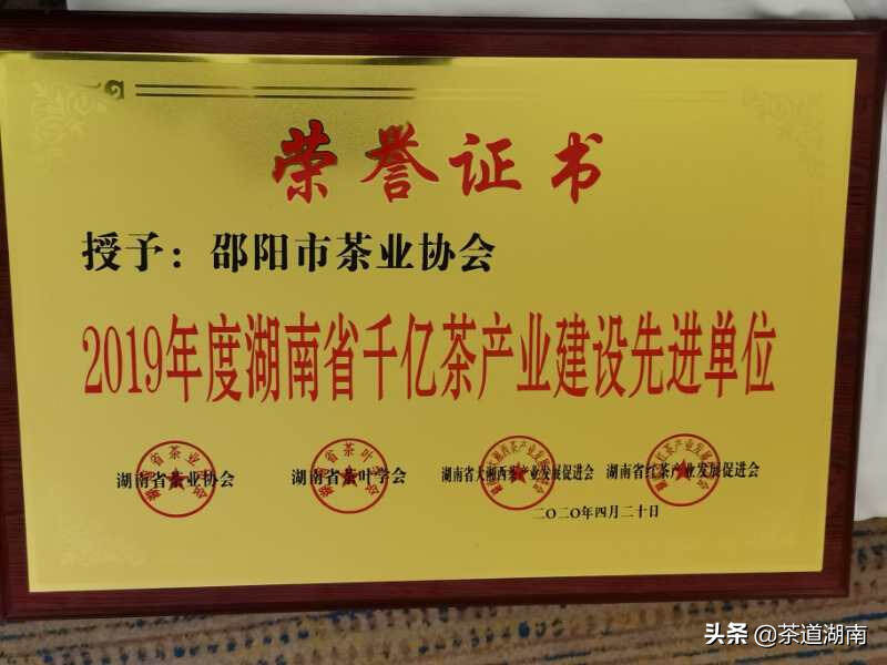 邵阳市茶叶专业协会及个人受表彰