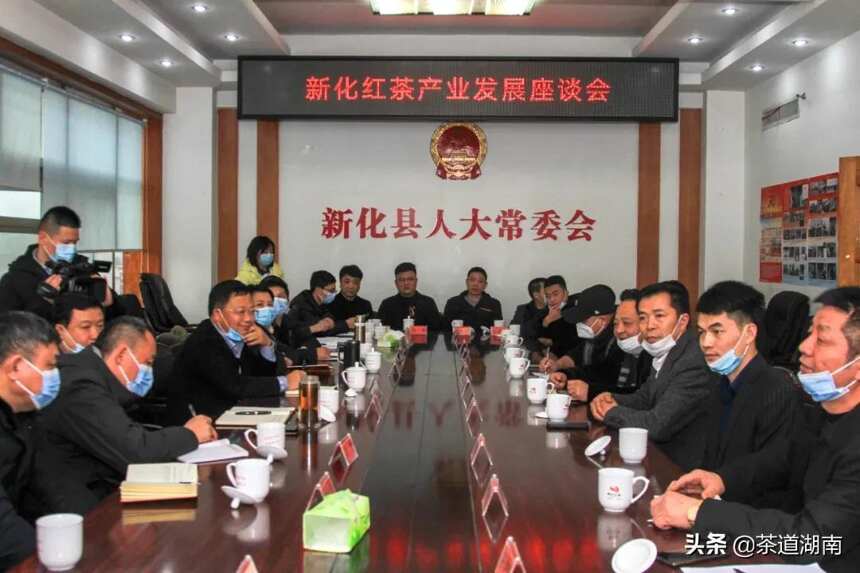 新化红茶产业发展座谈会举行