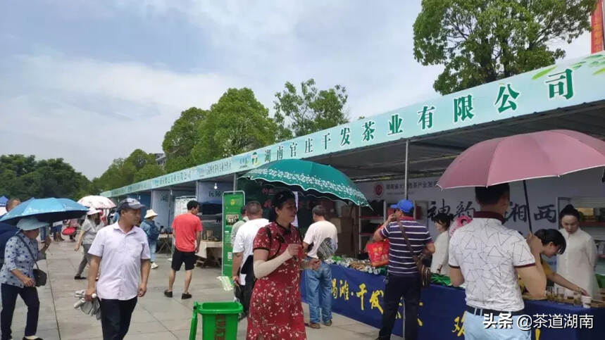 2019怀化·沅陵第五届碣滩茶文化旅游节盛大开幕