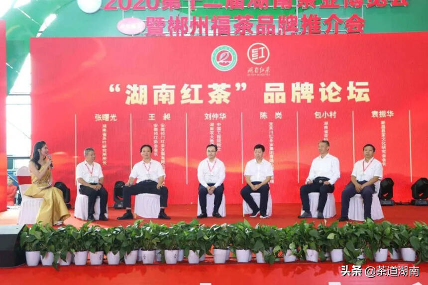 2020第十二届湖南茶业博览会“湖南红茶”品牌论坛举行