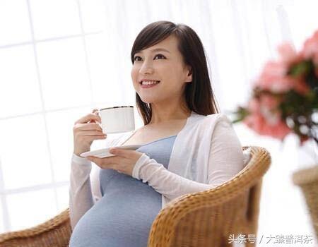 孕妇产妇能不能喝普洱茶？