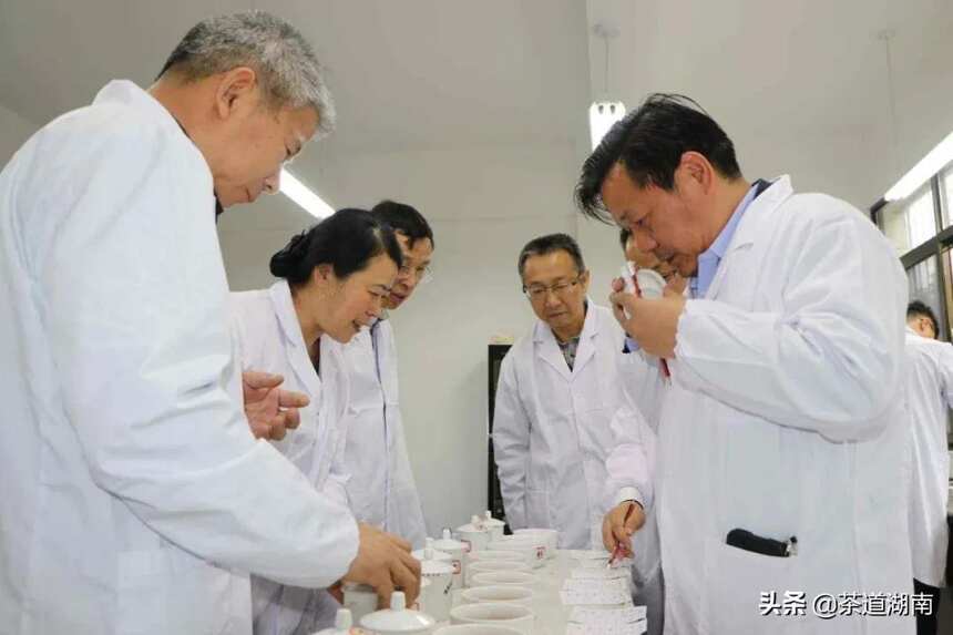 “名优茶评比”助推湘西茶产业高质量发展